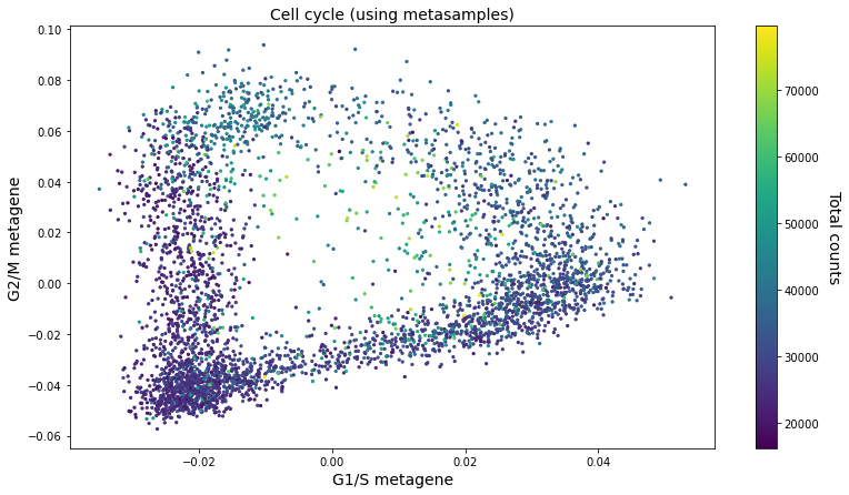 ../_images/_examples_cell_cycle_ICA_30_0.png